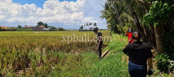 Grundstück in Tabanan, Indonesia 3800m², Nr. 3749 10