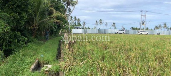 Grundstück in Tabanan, Indonesia 3800m², Nr. 3749 6