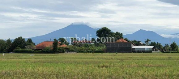 Grundstück in Tabanan, Indonesia 3800m², Nr. 3749 22