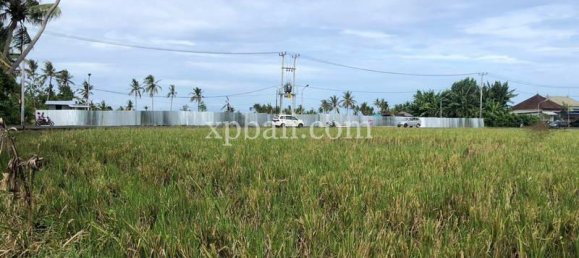 Grundstück in Tabanan, Indonesia 3800m², Nr. 3749 5