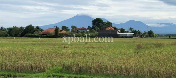 Grundstück in Tabanan, Indonesia 3800m², Nr. 3749 2