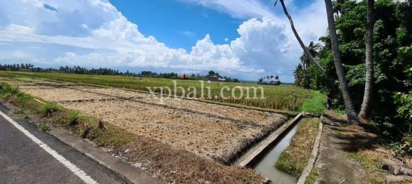 Grundstück in Tabanan, Indonesia 3800m², Nr. 3749 7