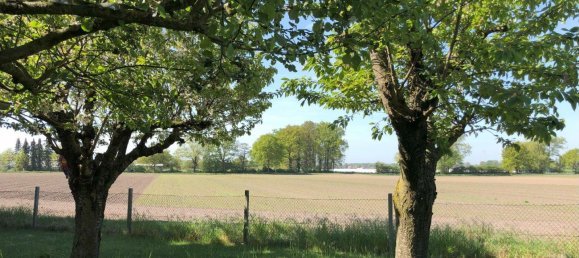 3 bedrooms House in Diepholz, Germany No. 268004 17