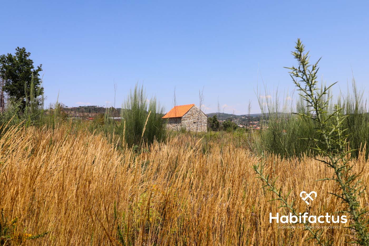 Grundstück in Mangualde, Portugal 139m², Nr. 68861