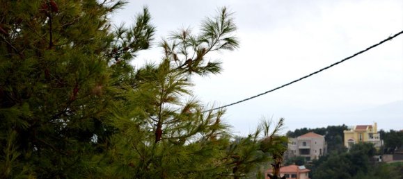 Propiedad comercial de 6 dormitorios en Marathon, Greece No. 5865 4