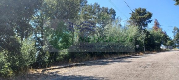  قطعة أرض في Sever do Vouga, Portugal 815متر مربع رقم 260657 5