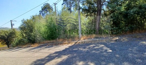  قطعة أرض في Sever do Vouga, Portugal 815متر مربع رقم 260657 6