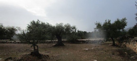 15260m² Land in Tarragona, Spain No. 159254 9