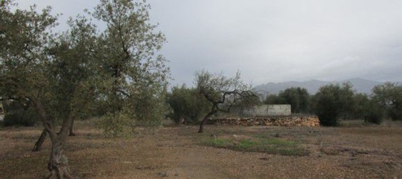15260m² Land in Tarragona, Spain No. 159254 2
