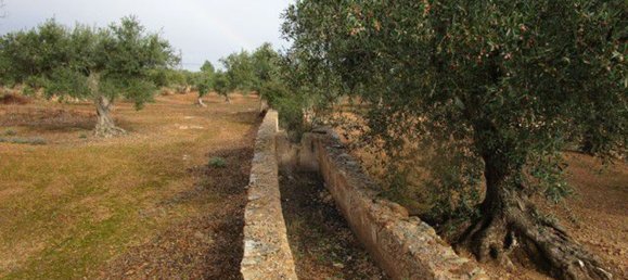 15260m² Land in Tarragona, Spain No. 159254 15