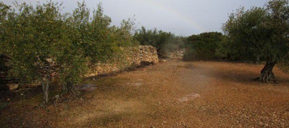 15260m² Land in Tarragona, Spain No. 159254 13