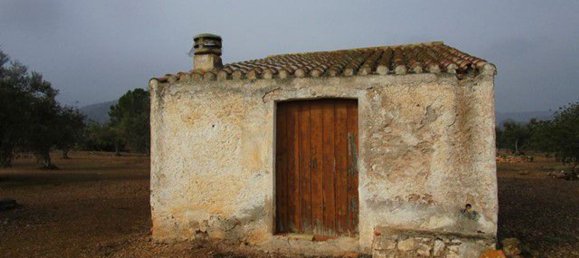 15260m² Land in Tarragona, Spain No. 159254 23