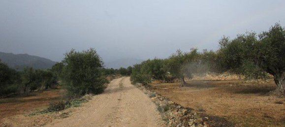 15260m² Land in Tarragona, Spain No. 159254 11