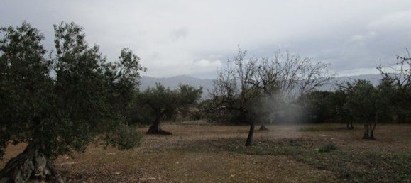 15260m² Land in Tarragona, Spain No. 159254 8