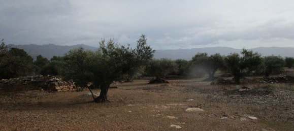 15260m² Land in Tarragona, Spain No. 159254 18