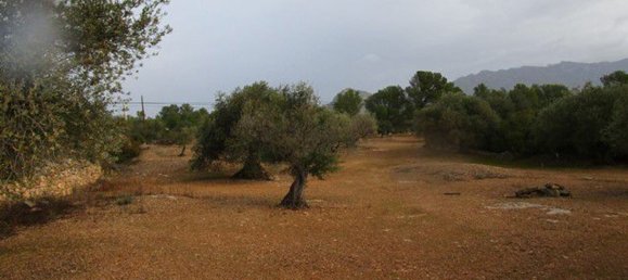 15260m² Land in Tarragona, Spain No. 159254 20