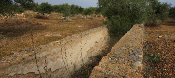 15260m² Land in Tarragona, Spain No. 159254 17