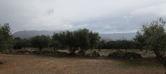 15260m² Land in Tarragona, Spain No. 159254 7