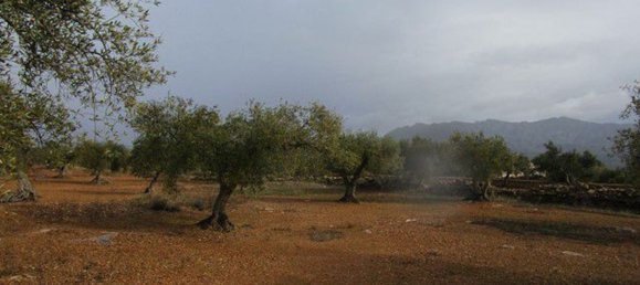 15260m² Land in Tarragona, Spain No. 159254 14