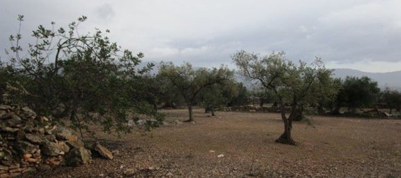 15260m² Land in Tarragona, Spain No. 159254 5