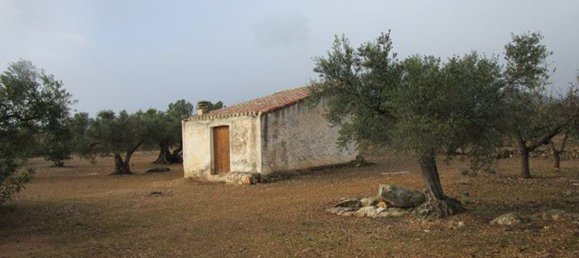 15260m² Land in Tarragona, Spain No. 159254 22