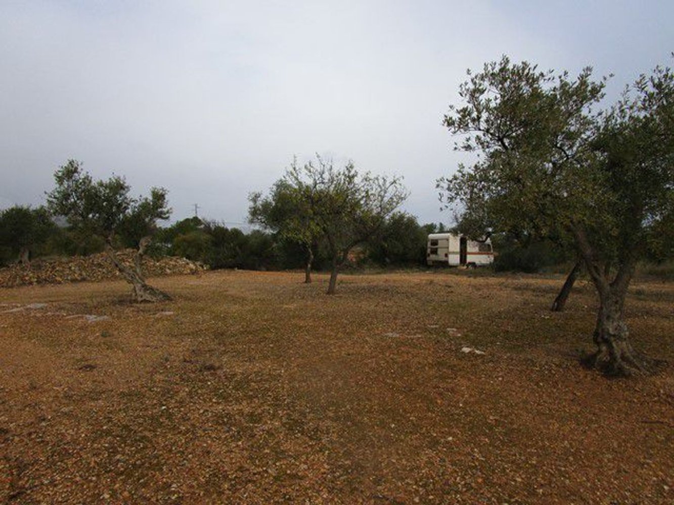 15260m² Land in Tarragona, Spain No. 159254