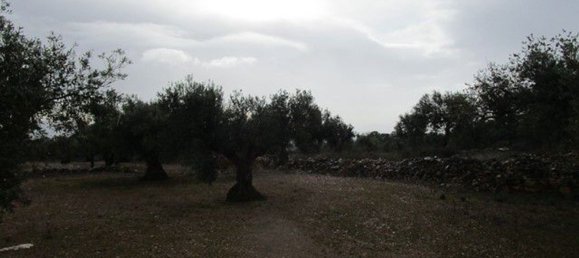 15260m² Land in Tarragona, Spain No. 159254 3