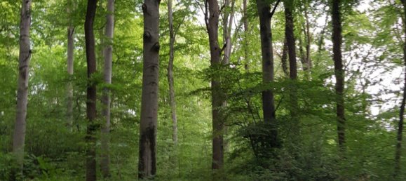 Land in Bergisch Gladbach, Germany No. 305020 4