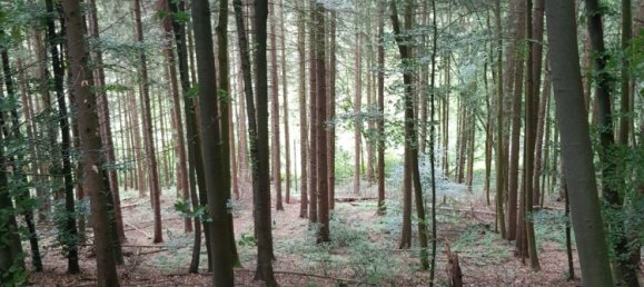 Land in Bergisch Gladbach, Germany No. 305020 5