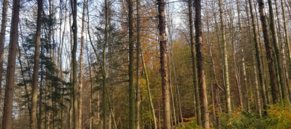 Land in Bergisch Gladbach, Germany No. 305020 7