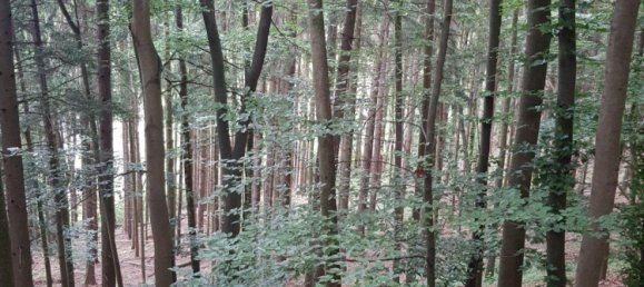 Land in Bergisch Gladbach, Germany No. 305020 3