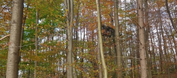 Land in Bergisch Gladbach, Germany No. 305020 13