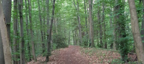 Land in Bergisch Gladbach, Germany No. 305020 2