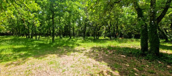 Grundstück in Saint-Siffret, France 636m², Nr. 291475 2