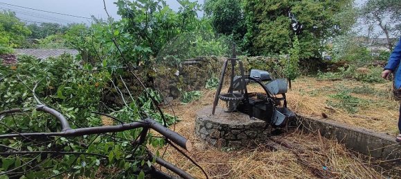 4 bedrooms House in Nave, Portugal No. 20819 2