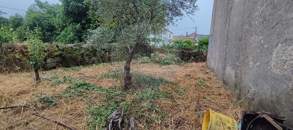 4 bedrooms House in Nave, Portugal No. 20819 12