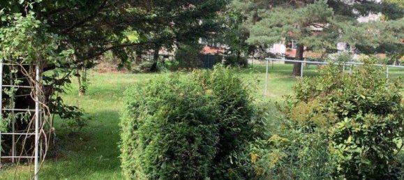 1 غرف نوم شقة في Dresden, Germany رقم 695 4