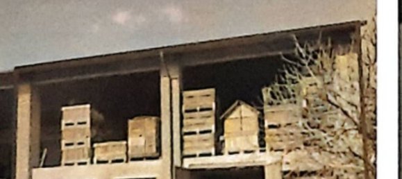 3 rooms Apartment in Castelnuovo Scrivia, Italy No. 271992 7