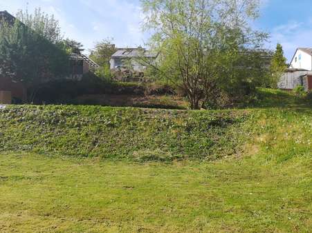  Land in Hersfeld-Rotenburg, Germany No. 159728