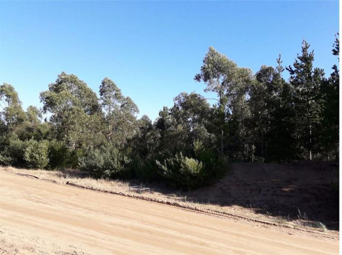  Land in Mar del Plata, Argentina No. 110918