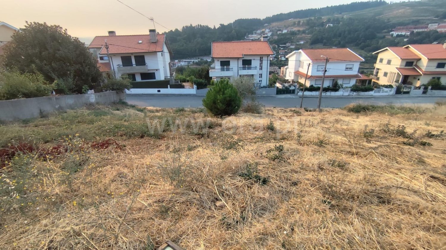  قطعة أرض في Lamego, Portugal رقم 277525