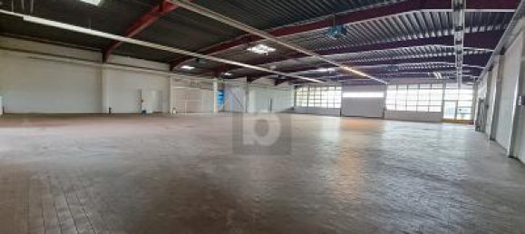 6 rooms Commercial property in Kleve, Germany No. 202657 5