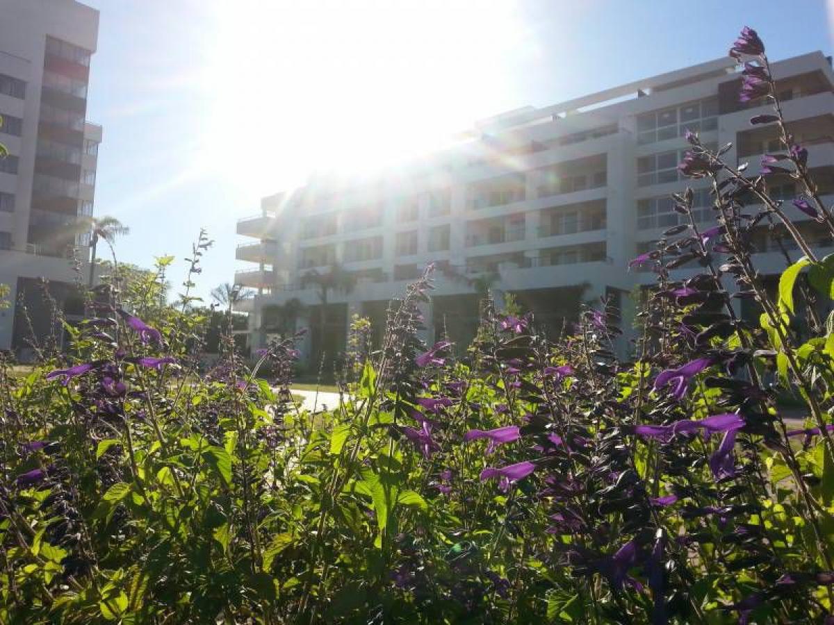 Studio in Tigre, Argentina, Nr. 19831