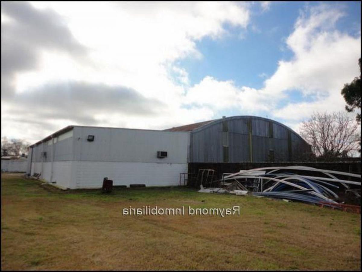 4 bedrooms Commercial property in Montevideo, Uruguay No. 13200