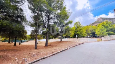 1742m² Land in Tibi, Spain No. 243949