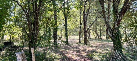 4 bedrooms House in Fronton, France No. 194933 11