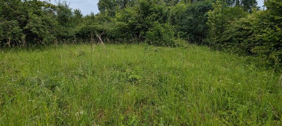 4 bedrooms House in Chisseaux, France No. 257281 9