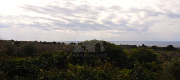 Villa de 3 habitaciónes en Castrignano del Capo, Italy No. 39405 22