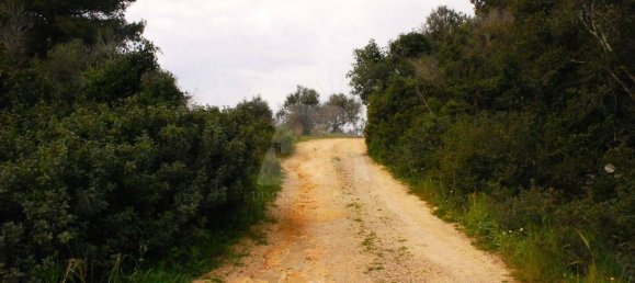 Villa de 3 habitaciónes en Castrignano del Capo, Italy No. 39405 28