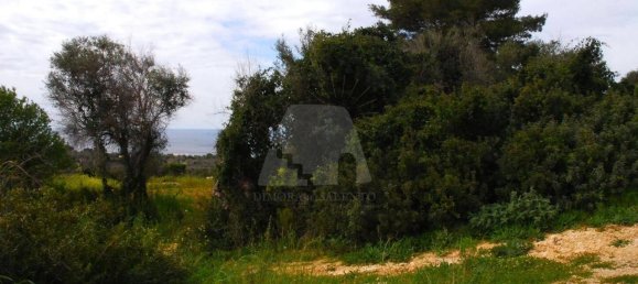 Villa de 3 habitaciónes en Castrignano del Capo, Italy No. 39405 18